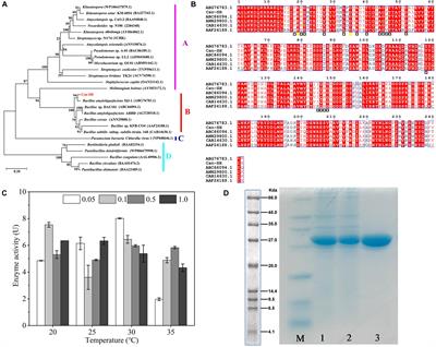 Efficient Preparation of Chitooligosaccharide With a Potential Chitosanase Csn-SH and Its Application for Fungi Disease Protection